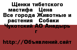 Щенки тибетского мастифа › Цена ­ 80 - Все города Животные и растения » Собаки   . Чукотский АО,Анадырь г.